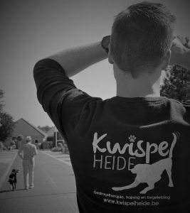 Hondentrainer en hondenopleidingen Limburg